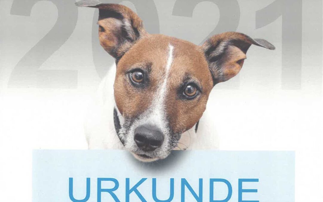 Erfolgreiche Teilnahme am bundesweiten Aktionstag KOLLEGE HUND